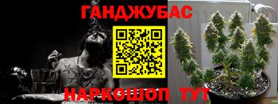 индика Дубна