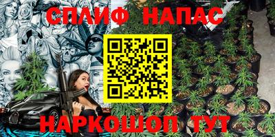 индика Дубна