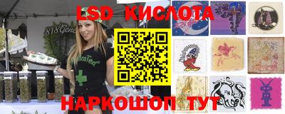 индика Дубна