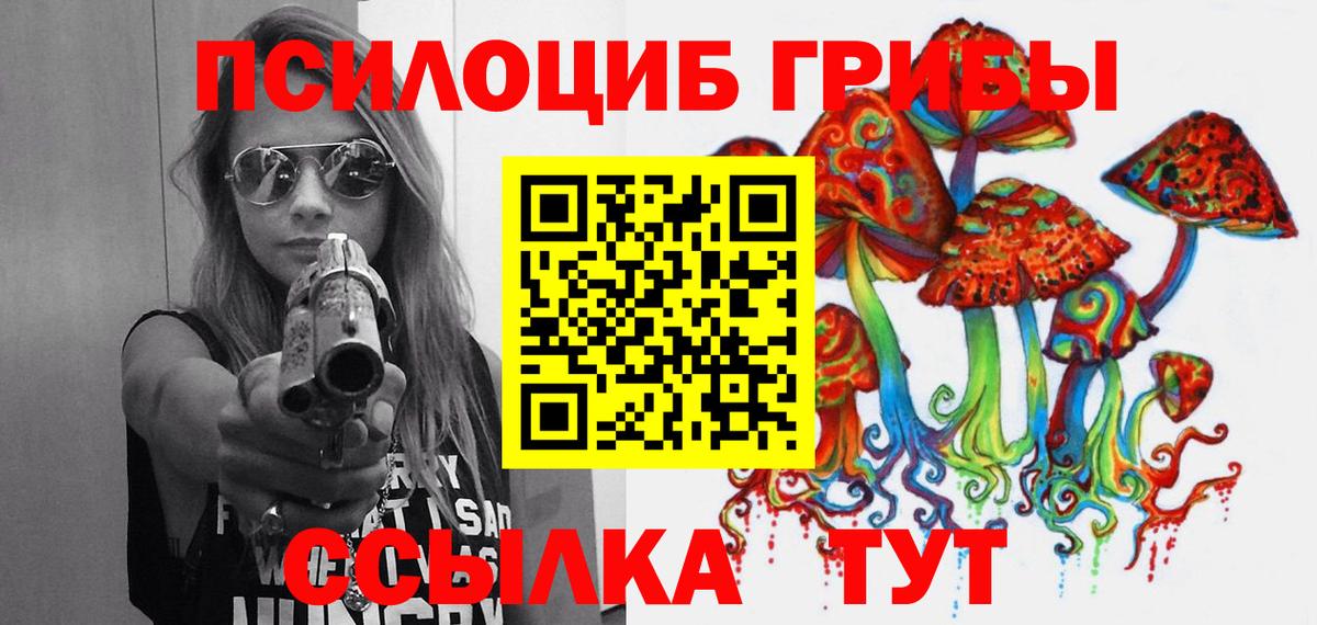 Псилоцибиновые грибы Psilocybe Магадан