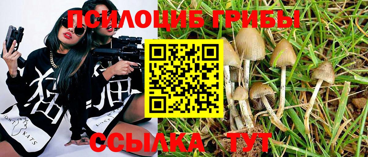 Магадан  Галлюциногенные грибы Cubensis  Псилоцибиновые грибы Magic Shrooms  Вход с VPN 